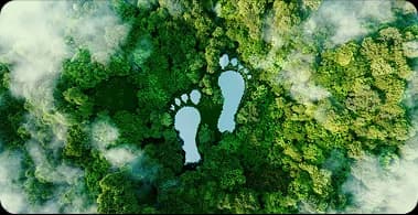 Greener Prints 🌿